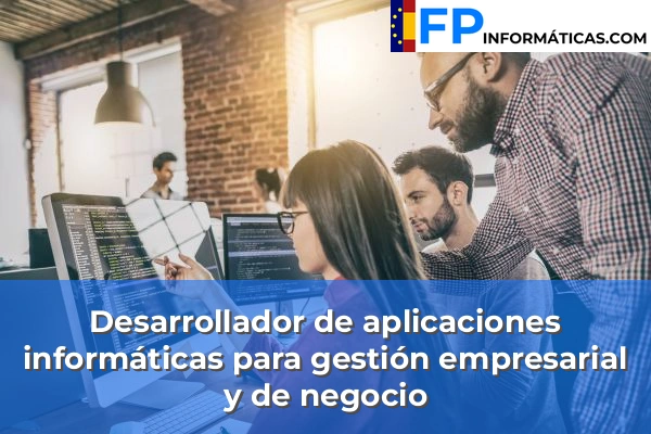 Desarrollador de aplicaciones informáticas para gestión empresarial y de negocio